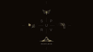 Spurv - Brefj​æ​re [Album] (2023)