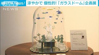 涼やかで個性的「ガラスドーム」企画展　富山市(2021年7月10日)