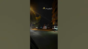 ركز يا قلبي بلي جاي حمزة نمرة حمزه نمره الفنان 