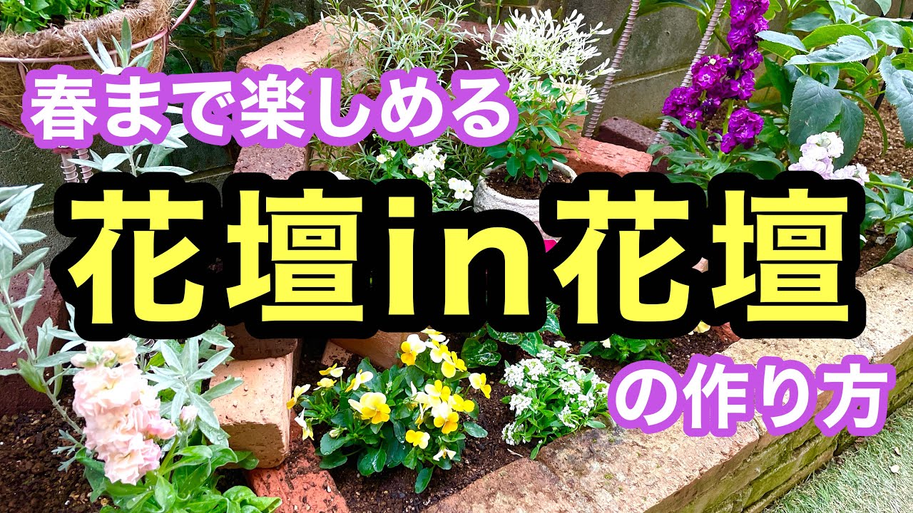 秋植え球根と寒さに強い花々とレンガを使って花壇の中に花壇を作る立体的な冬の花壇作り動画です。 #flowers #gardening #ガーデニング #花壇