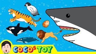 41minㅣA collection of imaginative storiesㅣanimals for kidsㅣCoCosToy