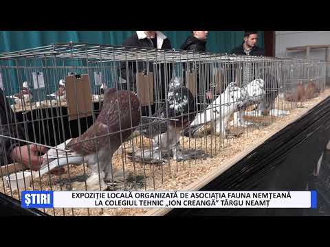 Expoziție organizată de Asociația FAUNA NEMȚEANĂ în colaborare cu Colegiul Tehnic „Ion Creanga"