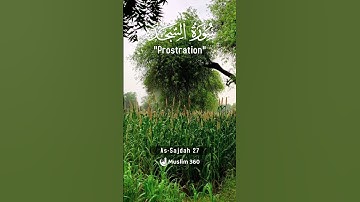 Surah As-Sajdah (Prostration) 27 | Urdu | Hindi Audio Translation |  سورة السجدة