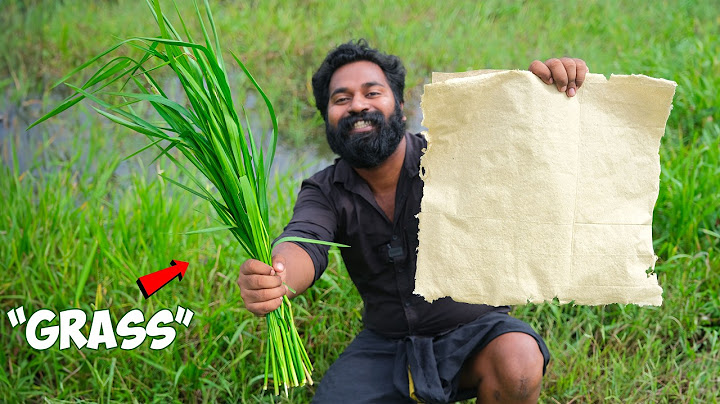 I Made Paper From Grass | പുല്ലുകൊണ്ട് പേപ്പർ ഉണ്ടാക്കി | M4 Tech |