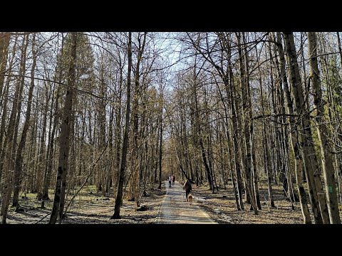 Новости из Москвы.