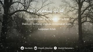 STORY WA SHOLAWAT 30 DETIK | STATUS WA ISLAMI TERBARU 2020 | LAGU SHOLAWAT