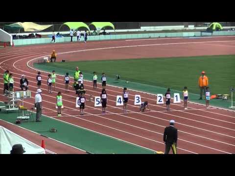 第６６回千代田区陸上選手権大会　小学女子５０ｍ　さくら　心羽
