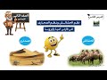 نظم الحشائش ونظم الصحاري في قارتي اسيا واوروبا الصف الثاني الاعدادي 