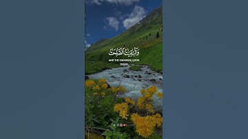 سورة مريم آية (76) القاريء #عبدالرحمن_مسعد #القران_الكريم