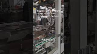 Case Erector Packer Sealer All in one case packer Master Case packing machine