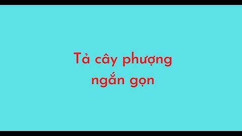 Tập làm văn lớp 4 tả cây phượng ngắn nhất