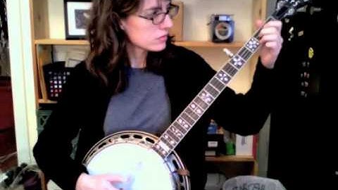 Wildwood Flower - Excerpt From the Custom Banjo Lesson from The Murphy Method