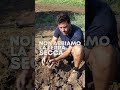 Preparo il terreno per l'orto autunnale