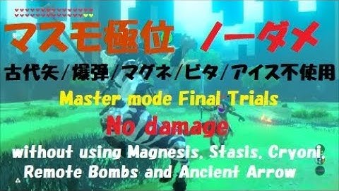 Zelda BotW, Master mode, Trial of the Sword, Final, No damage, w/o using Ancient Arrow, etc