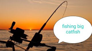 01- Kompilasi video short-Galeri short... Mancing fishing #galeripencarian #mancing #shortvideo 
