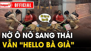 Nờ Ô Nô vẫn tiếp tục series “Người nghèo ăn gì Nô cho ăn đó” sang tận Thái Lan | Tin tức SaigonTV