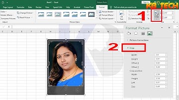 Crop Image in Excel 2016