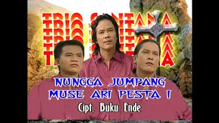 Trio Santana - Nungga Jumpang Muse Ari Pesta I