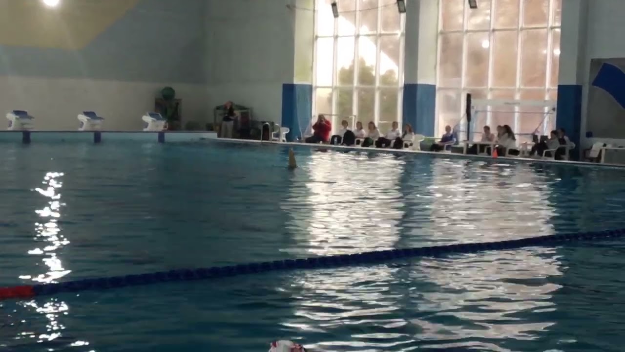 ДОП 2026 Мария Вълева соло техника