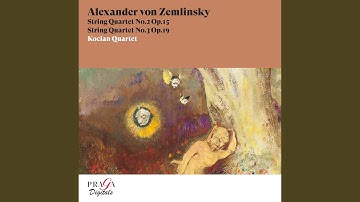 String Quartet No. 2, Op. 15: IV. Allegro molto - Langsam - Andante