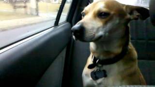 VID 20110221 164610