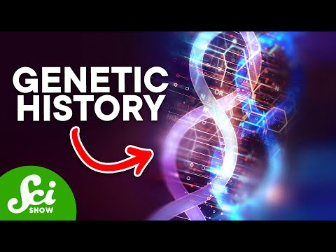 Epigenetics