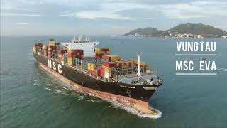 Eva Ship. Mediterranean Shipping Company.