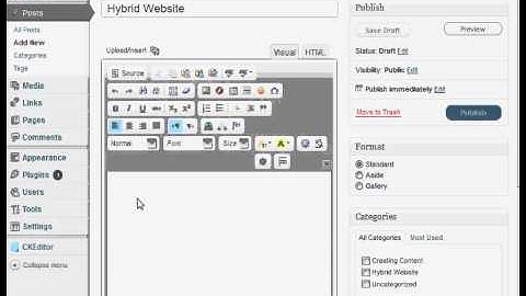 4Boxers - Creating a Wordpress Post