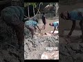 বন বিভাগের অভিযানে ৪১০ কেজি নিষিদ্ধ শাপলা পাতা মাছসহ দুটি ফিশিং ট্রলার জব্দ| AlokitoTribune