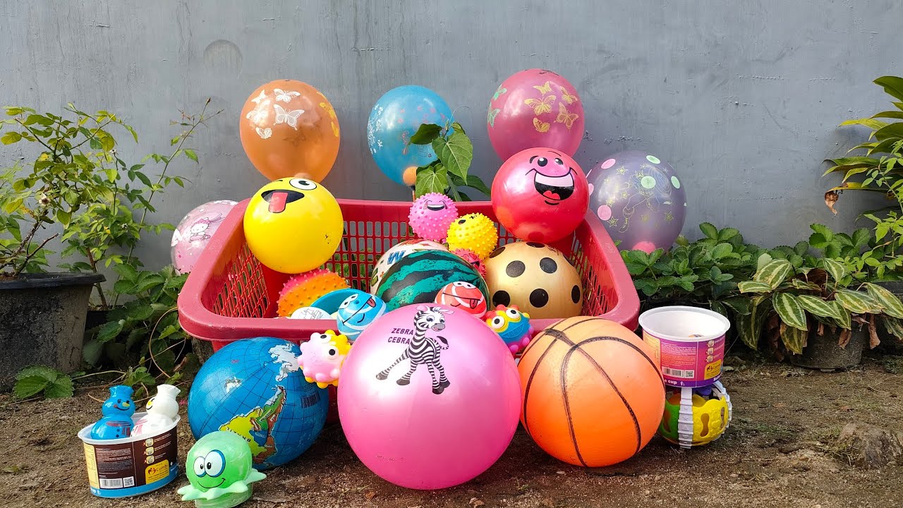 Mencari Bola Basket, Bola Karakter, Bola Kecil dan Balon Berhadiah Pot Bunga