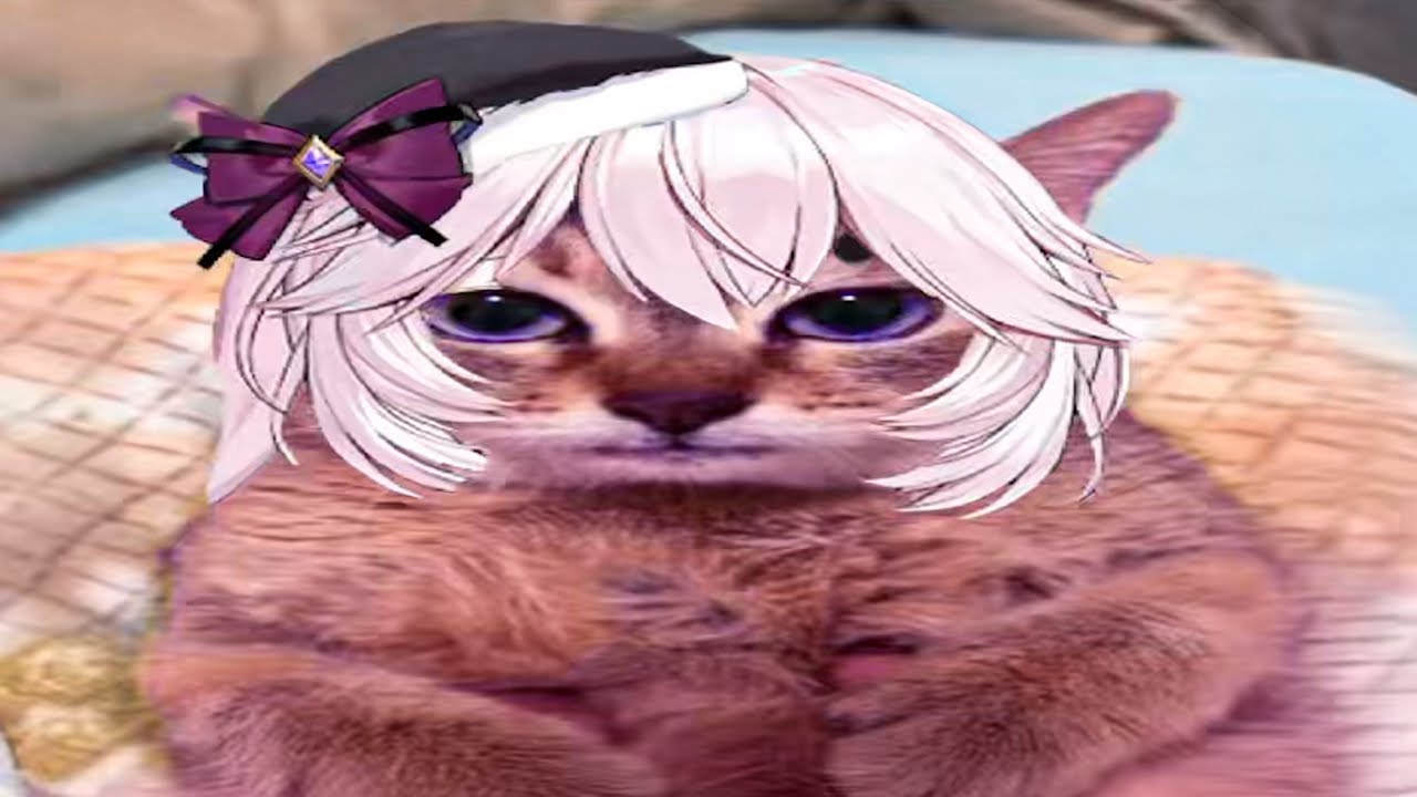 nyanners clips to blast on max volume in a public library