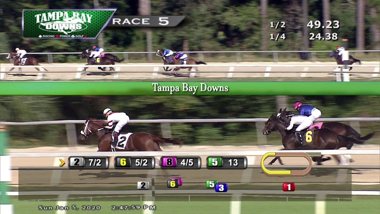 Tampa Bay Downs Replay 1 5 20 Race 5 YouTube tampa-bay-downs-replay-1-5-20-race-5-youtube