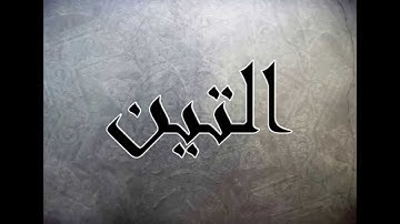 الشيخ سلمان العتيبي سورة التين