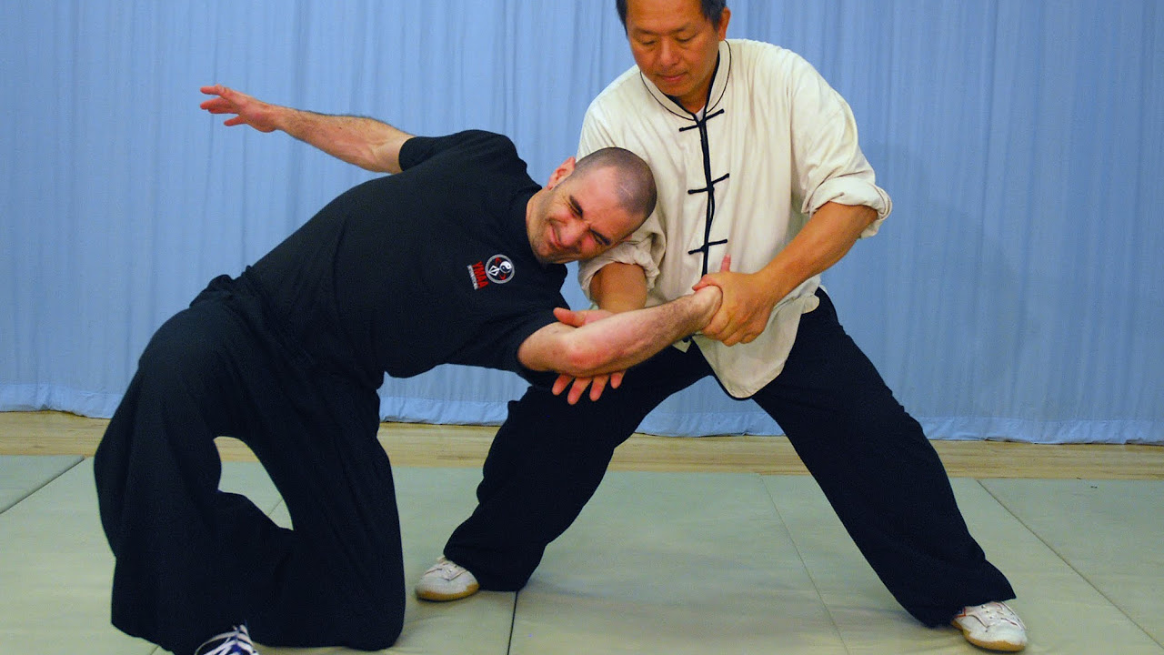 Tai Chi Fighting Taijiquan Martial Applications Yang style 37 postures YMAA