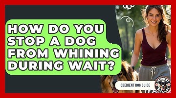 How Do You Stop A Dog From Whining During Wait? - Obedient Dog Guide