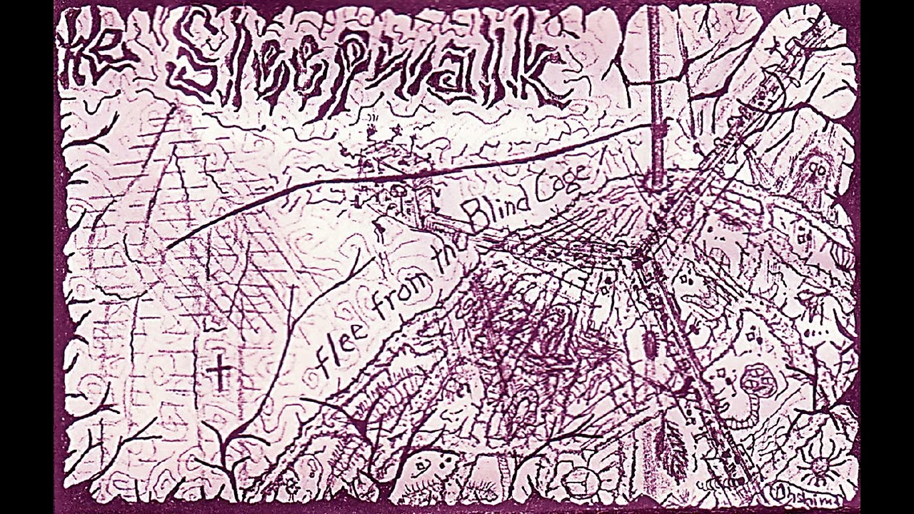 The Sleepwalk - flee from the Blind Cage!!