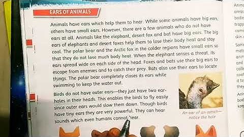 Class-4th subject-EVS Chapter-7 (The animal world)