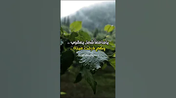يا ناصر الحق في بدر وفي أحد وفي حنين غداة الجيش قد لانا 