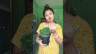 চাঁদ সুন্দরী?????virulvideos shots youtubeshorts funnyvideo comedy