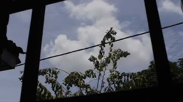 Magic Lantern FPS Override Time-lapse Canon 60D