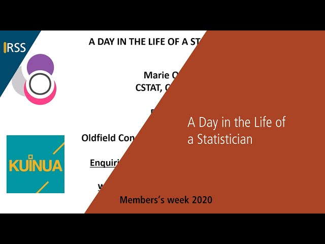 A Day in the Life of a Statistician