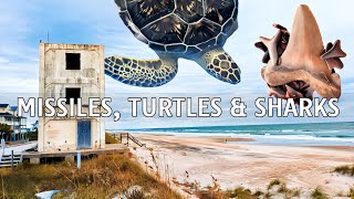 NORTH CAROLINA: Topsail Island and Surf City - Hidden Gems in North Carolina | Sea Turtles Hospital by Colorado Martini 513 views 2 months ago 14 minutes, 59 seconds