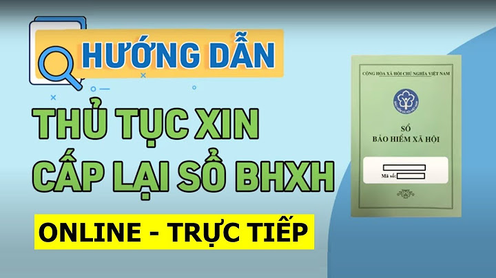 Hướng dẫn lập d02 xin cấp lại sổ năm 2024