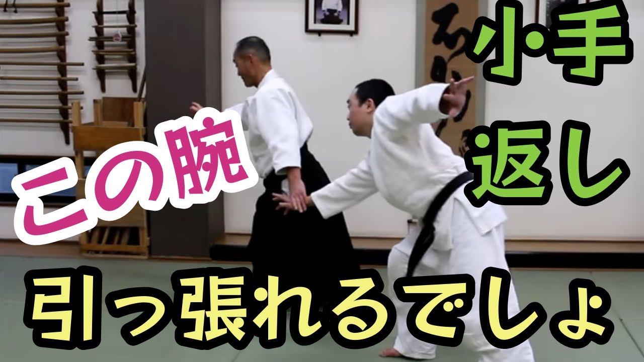 疑問に言及‼️なぜあの形になるのか・・小手返し（合気道龍技法修得カリキュラム第30弾　小手返し）
