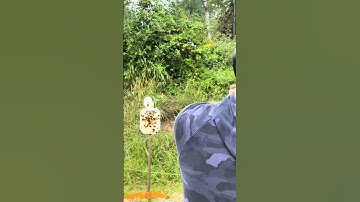 Hostage Target Simulator – Can YOU Make the Shot?