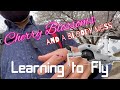 Learning to fly  japanese cherry blossoms and a mavic mini disaster ep 01