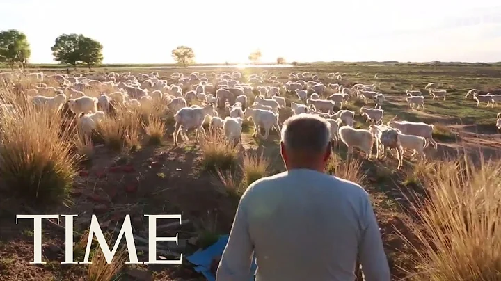 China's Greening Of Vast Kubuqi Desert Is A Model For Land Restoration Projects Everywhere | TIME - DayDayNews