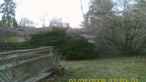 Blade mCP X in the Backyard