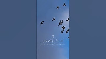 ﴿ قَالَ قَرِينُهُ رَبَّنَا مَا أَطْغَيْتُهُ وَلَٰكِن كَانَ فِي ضَلَالٍ بَعِيدٍ ﴾  سورة ق   #اكسبلور