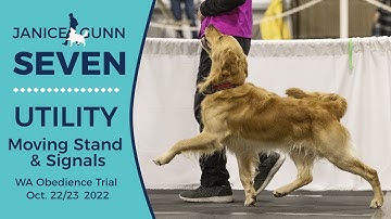 Moving & Signal Stands Utility B   HD 1080p